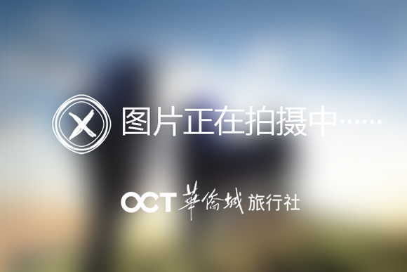 “珍”龍現(xiàn)深，這場沉浸式恐龍化石展等你來！