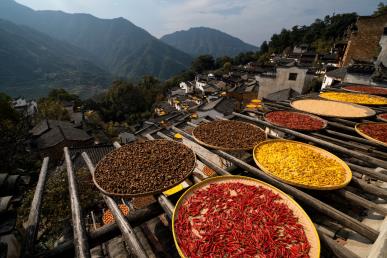 【國(guó)風(fēng)畫卷】<廬山、鄱陽(yáng)湖石鐘山、景德鎮(zhèn)、婺源篁嶺、三清山、夜游望仙谷6日游>